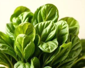 Wie gesund ist Spinat bei Eisenmangel