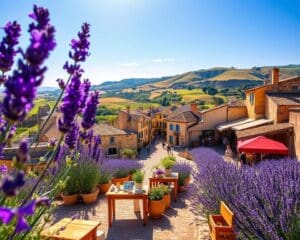 Welche Orte lohnen sich in Südfrankreich?